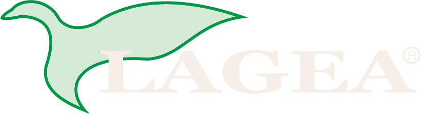 Lagea