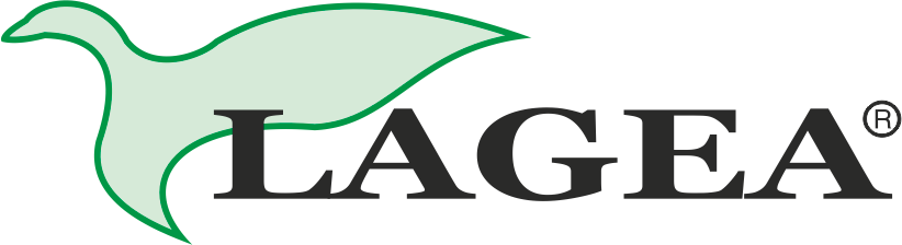 Lagea